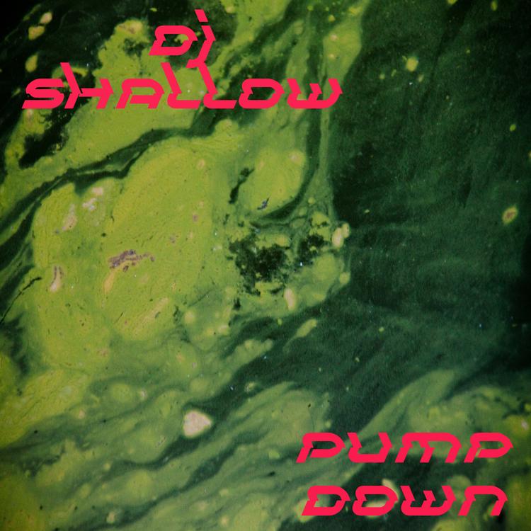 DJ Shallow's avatar image