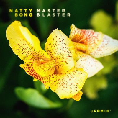 Master Blaster (Jammin') By Natty Bong's cover