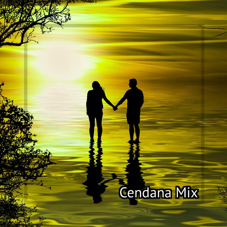 Cendana Mix's avatar image