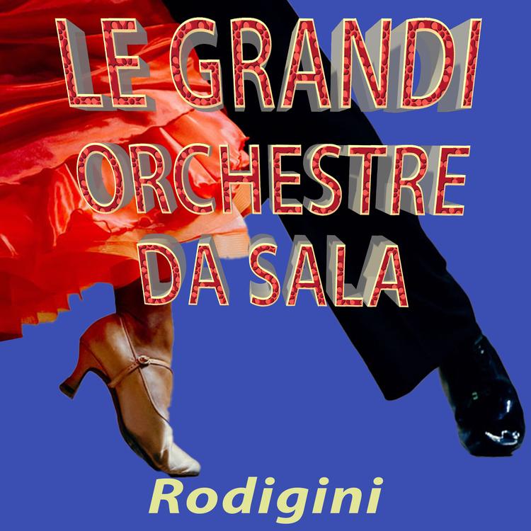 I Rodigini's avatar image