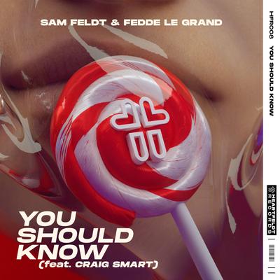 You Should Know (feat. Craig Smart) By Sam Feldt, Fedde Le Grand, Craig Smart's cover