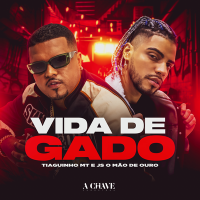 Vida de Gado's cover