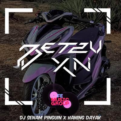 DJ Senam Pinguin x Haning's cover
