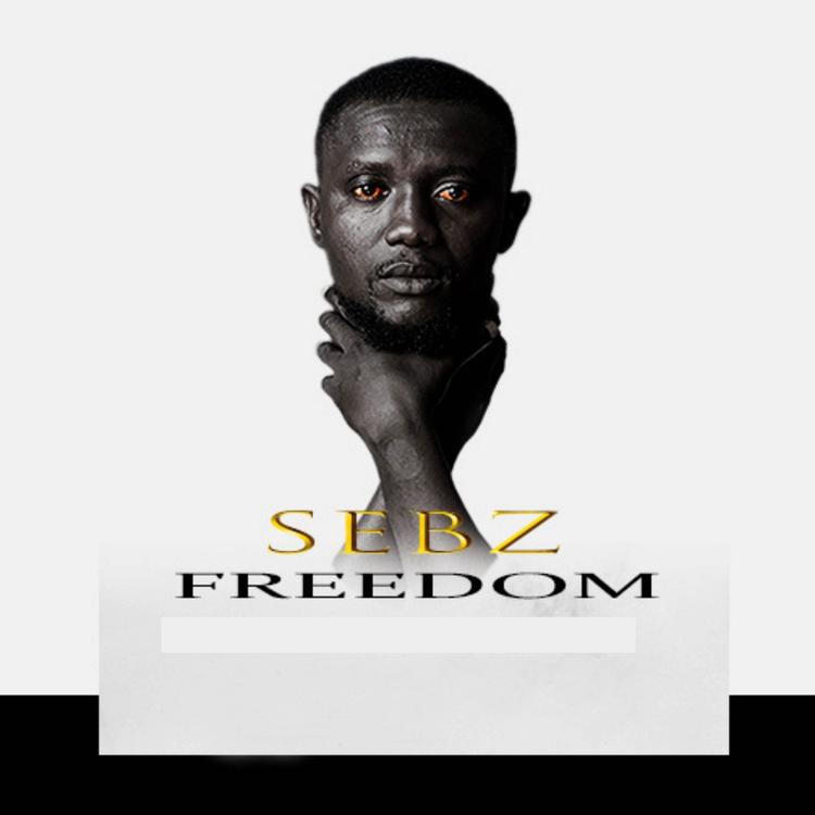 Sebz's avatar image