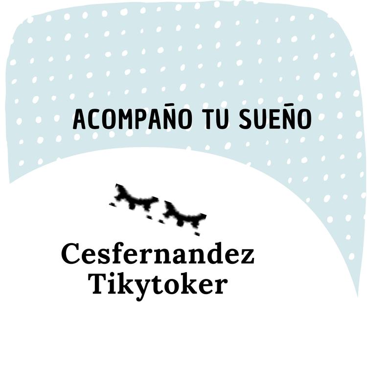 Cesfernandez Tikytoker's avatar image