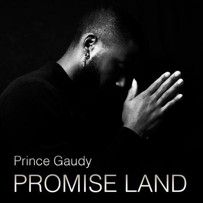 Prince Gaudy's cover