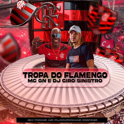 Tropa do Flamengo Official TikTok Music album by Mc Gn DJ CIRO