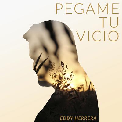 Pégame Tu Vicio's cover