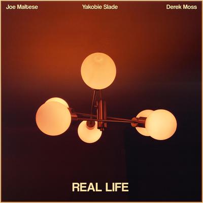 Real Life By Joe Maltese, Derek Moss, Yakobie Slade's cover