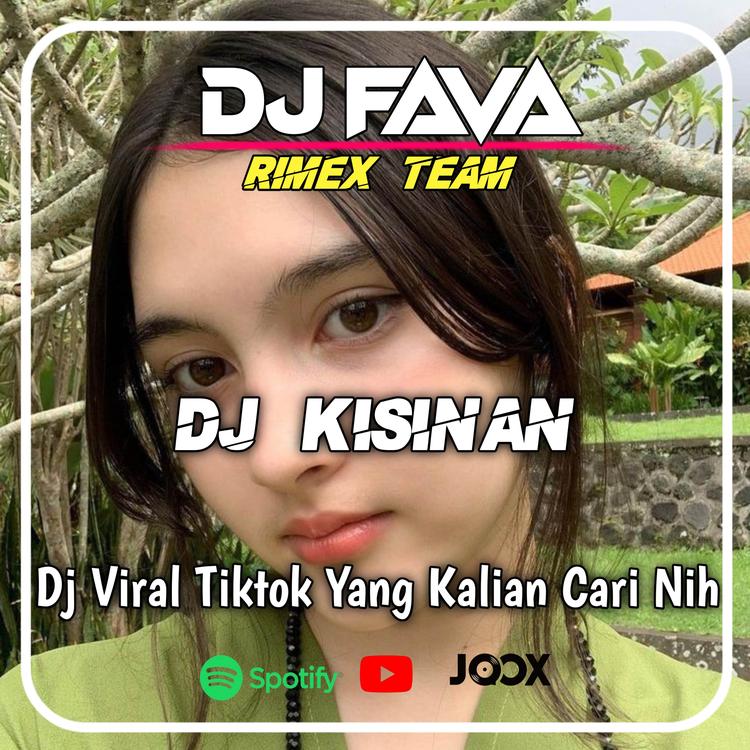 DJ FAVA's avatar image