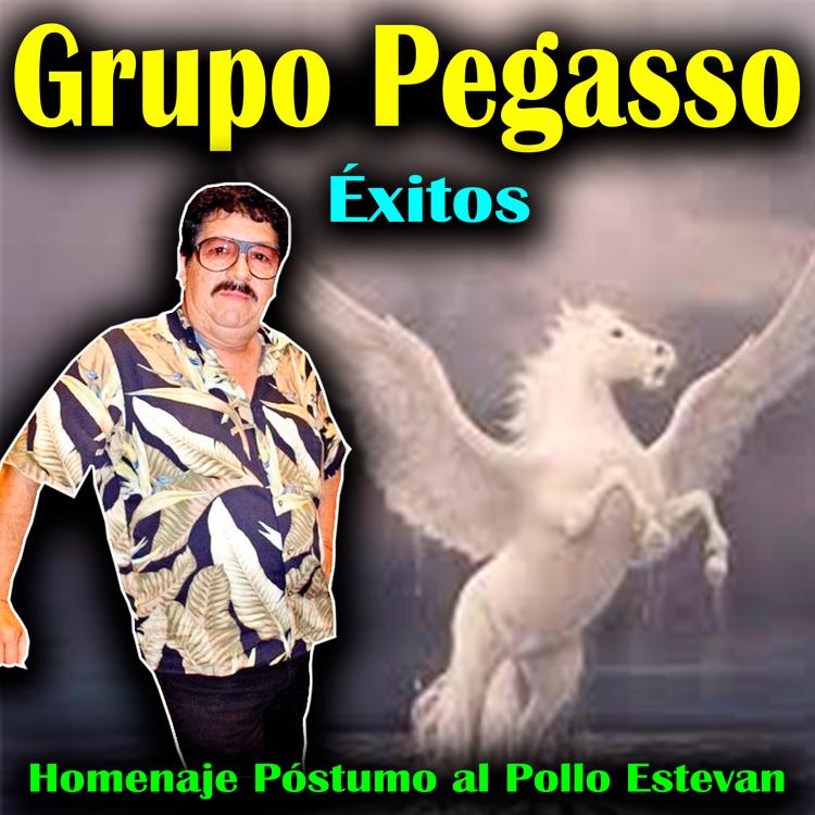 Grupo Ragass's avatar image