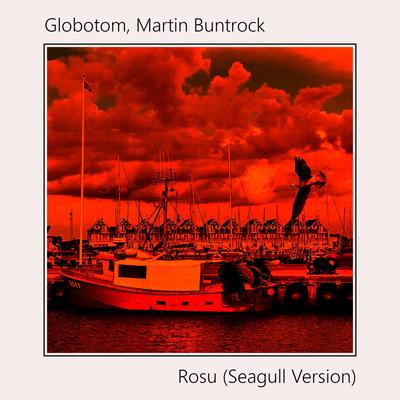 Rosu (Seagull Version)'s cover