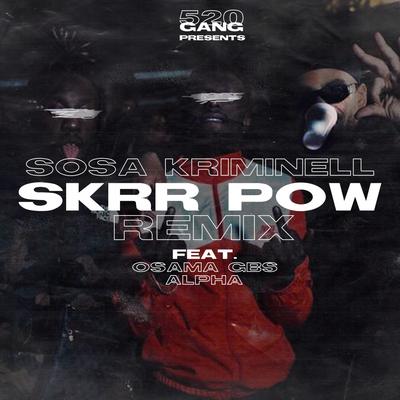 Skrr Pow (Remix)'s cover