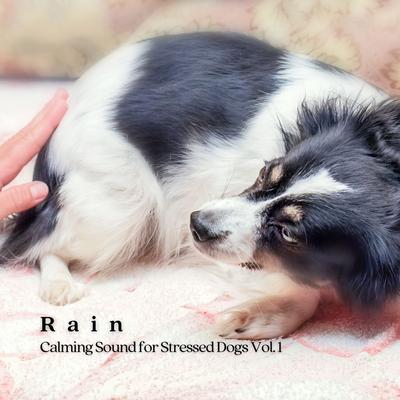 Rain: Calming Sound for Stressed Dogs Vol. 1's cover