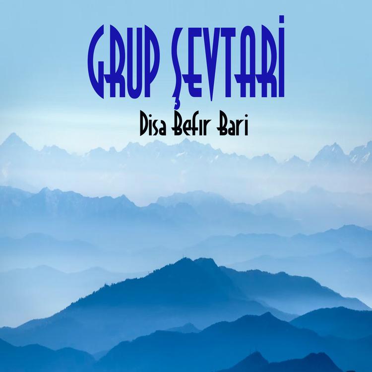 Grup Şevtari's avatar image