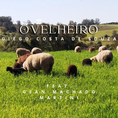 Ovelheiro's cover