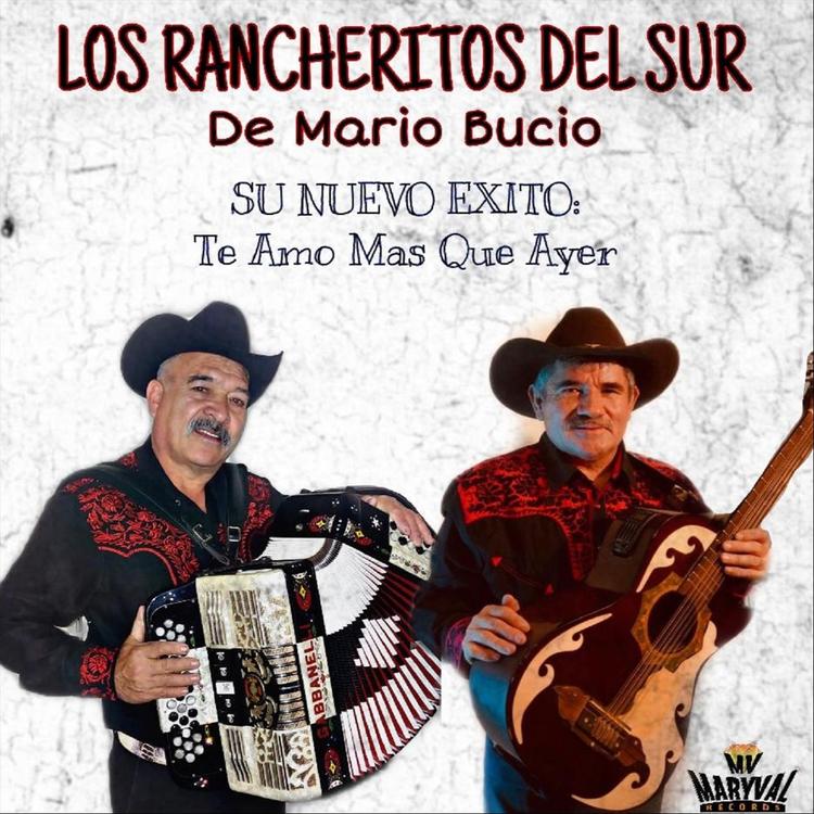 Los Rancheritos del Sur de Mario Bucio's avatar image