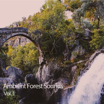 Ambient Forest Sounds Vol. 1's cover