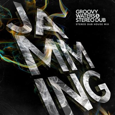 Jamming (Stereo Dub House Mix) By Groovy Waters, Stereo Dub's cover