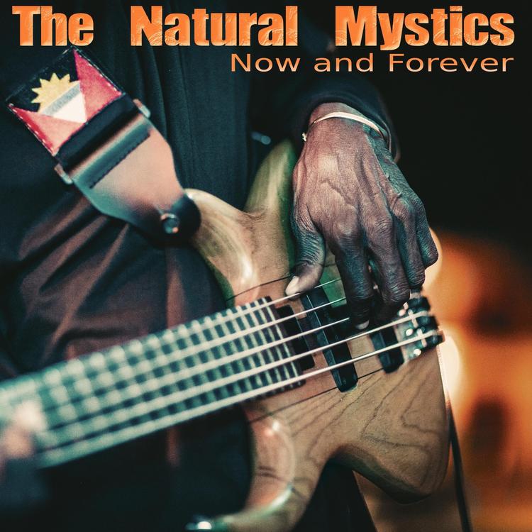 The Natural Mystics's avatar image