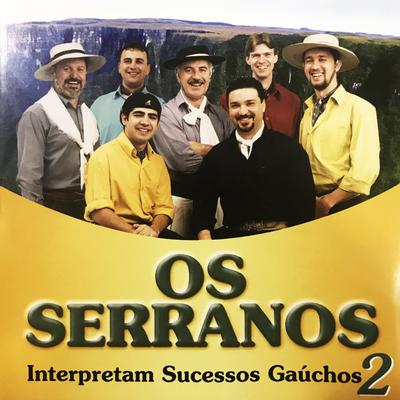 Interpretam Sucessos Gaúchos, Vol. 2's cover