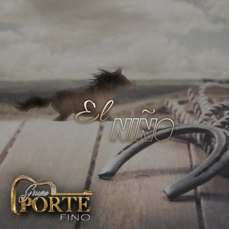 Grupo Porte Fino's avatar image