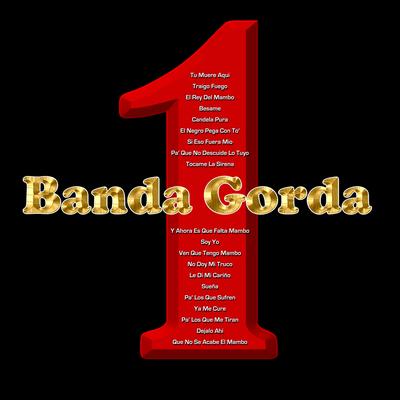 Traigo Fuego By Banda Gorda's cover