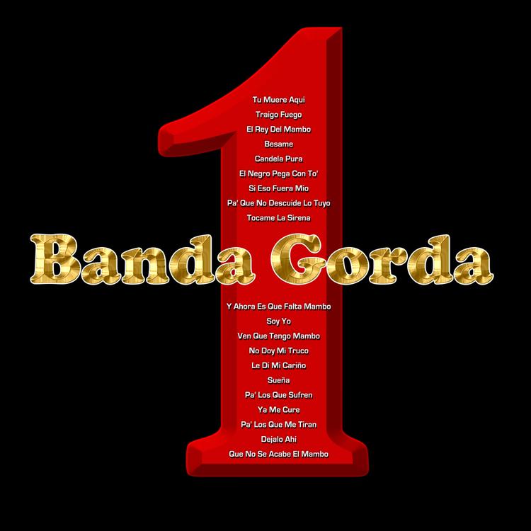 Banda Gorda's avatar image