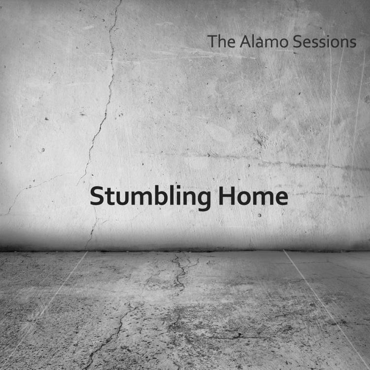 Stumbling Home's avatar image