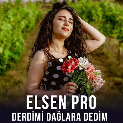 Derdimi Dağlara Dedim's cover