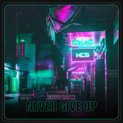 Never Give Up By Steve Hartz's cover