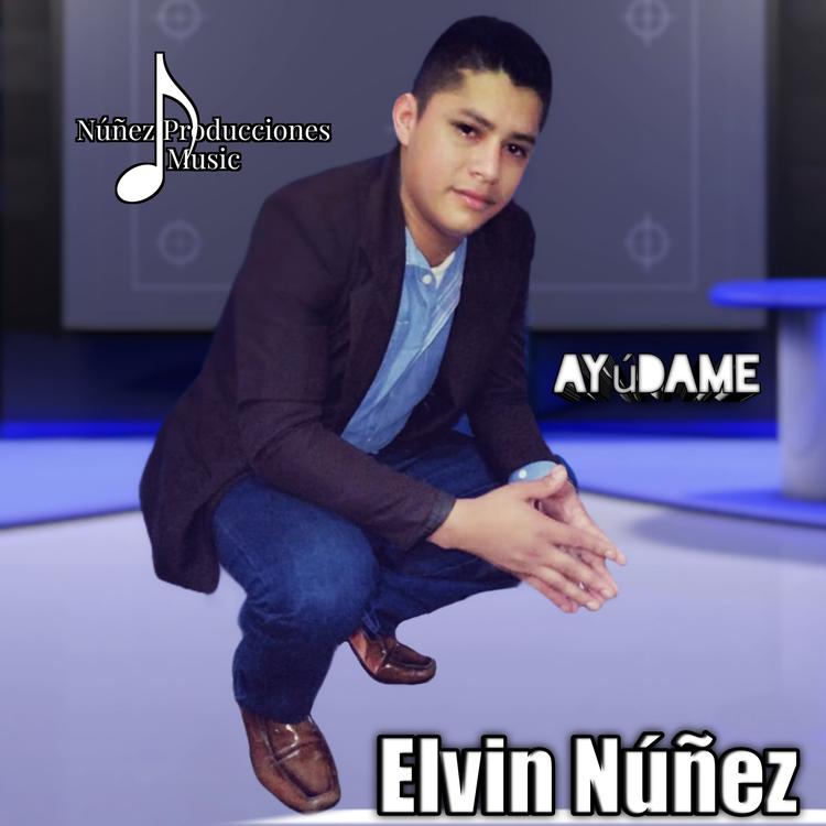 Elvin Núñez's avatar image