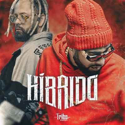 Híbrido's cover