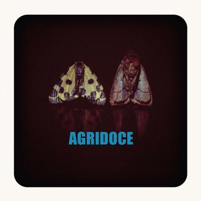 20 Passos By Agridoce's cover