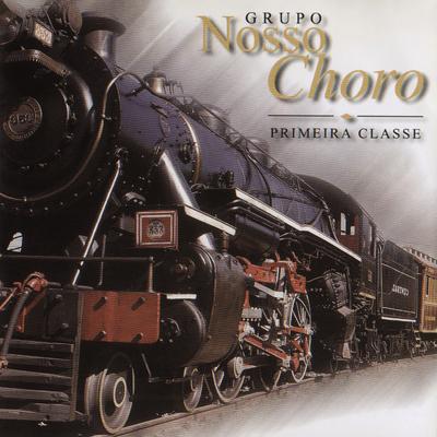 A Vida É um Buraco By Grupo Nosso Choro's cover