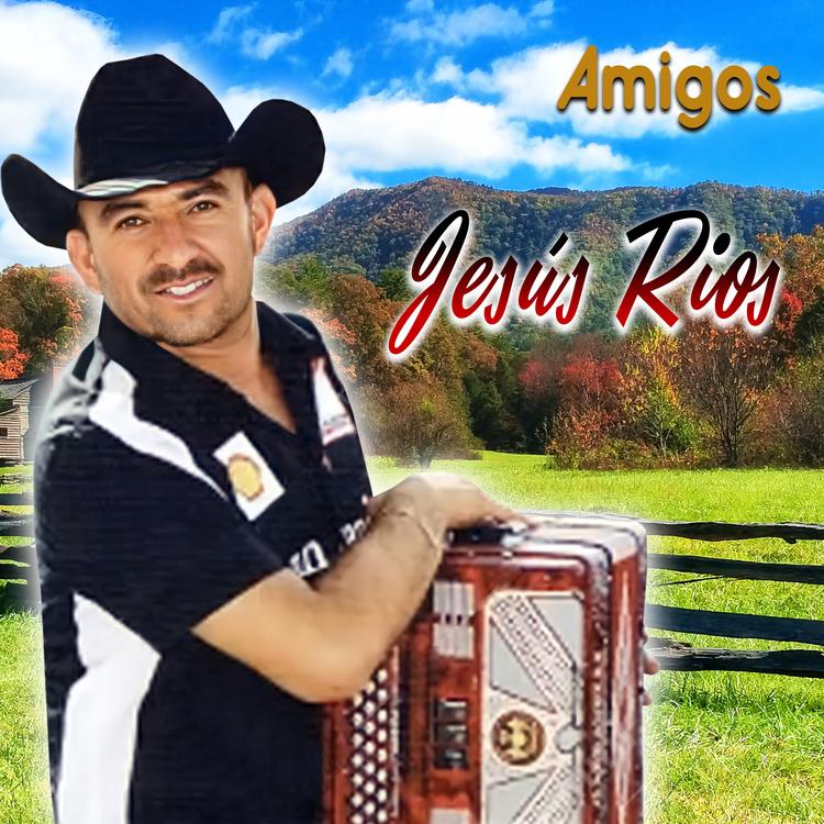 Jesús Ríos's avatar image