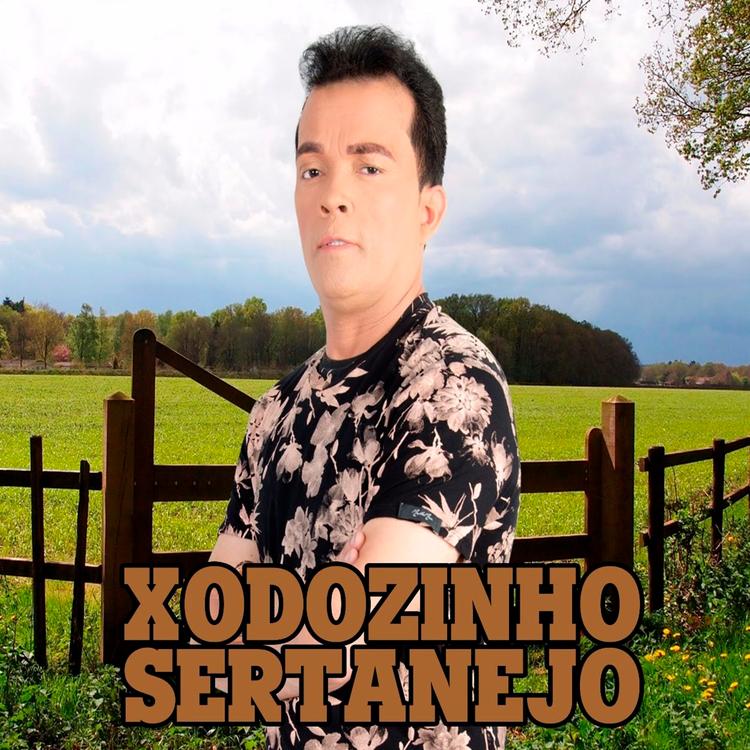 Xodozinho Sertanejo's avatar image