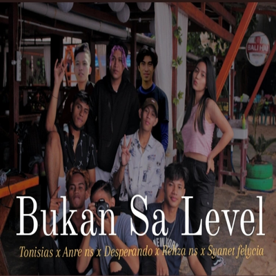 Bukan Sa Level's cover