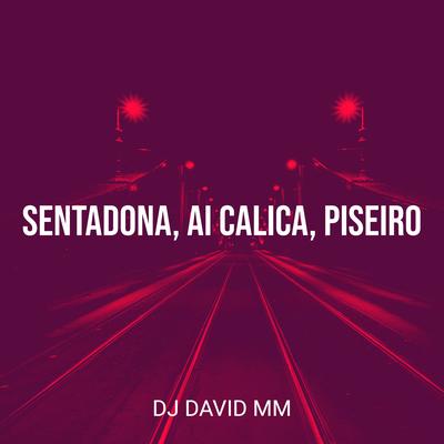 Sentadona, Ai Calica, Piseiro By DJ David MM's cover