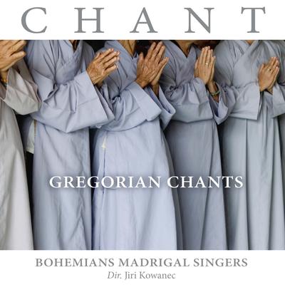 Antiphona Tamquam sponsus Psalm Caeli enarrant By Bohemians Madrigal Singers, Jiri Kowanec's cover