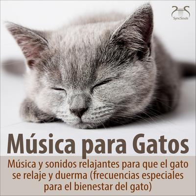 Música para gatos - Música y sonidos relajantes para que el gato se relaje y duerma (frecuencias especiales para el bienestar del gato)'s cover