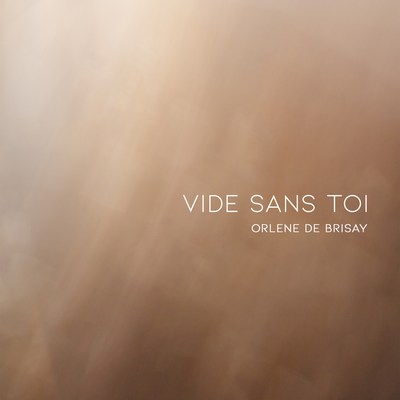 Vide sans toi By Orlene de Brisay's cover