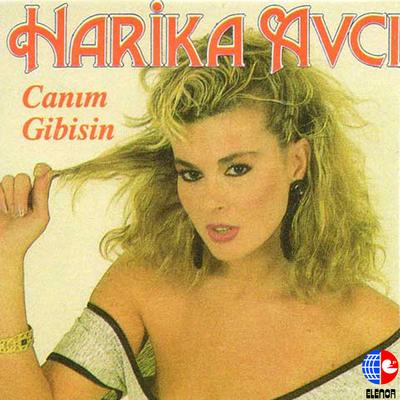 Canım Gibisin's cover