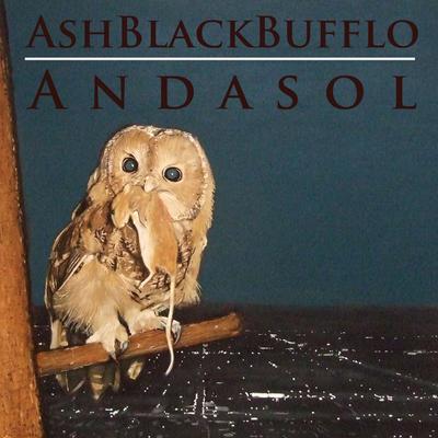 Buho By Ash Black Bufflo's cover