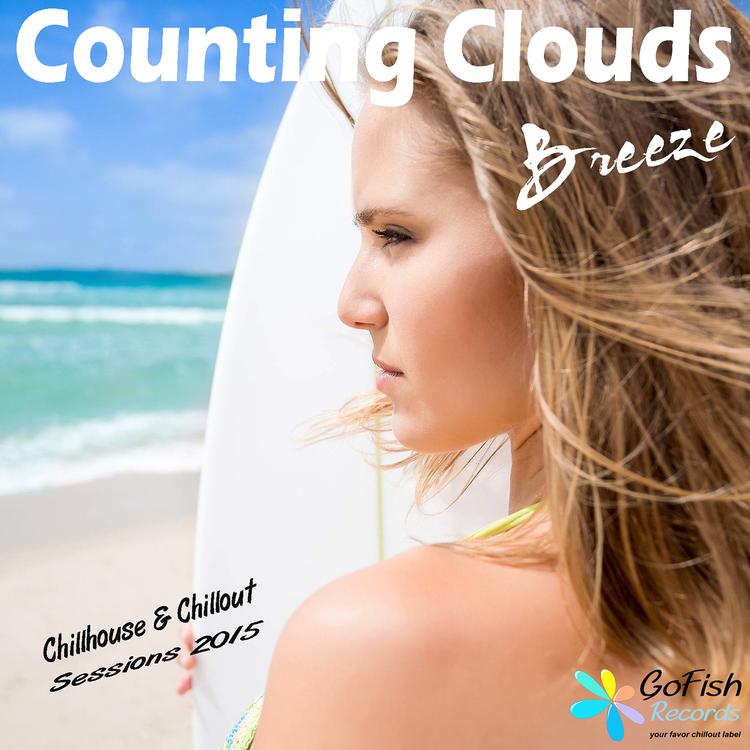 Counting Clouds's avatar image