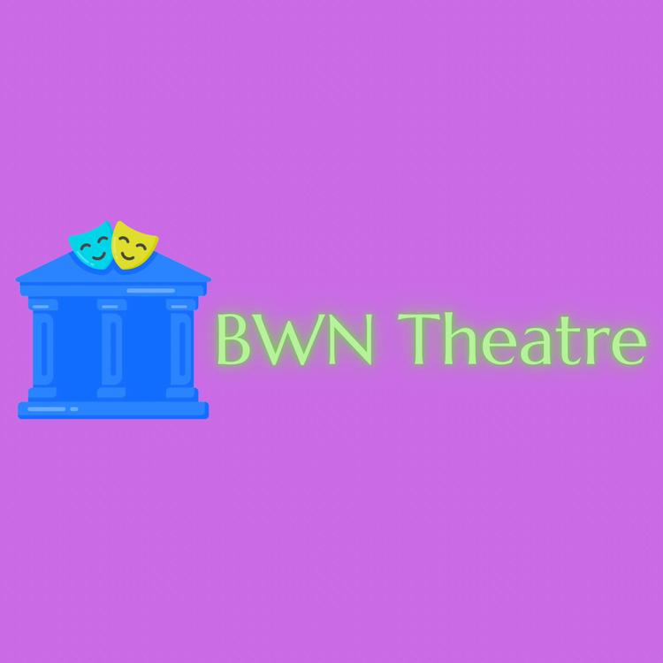 BWN Music's avatar image