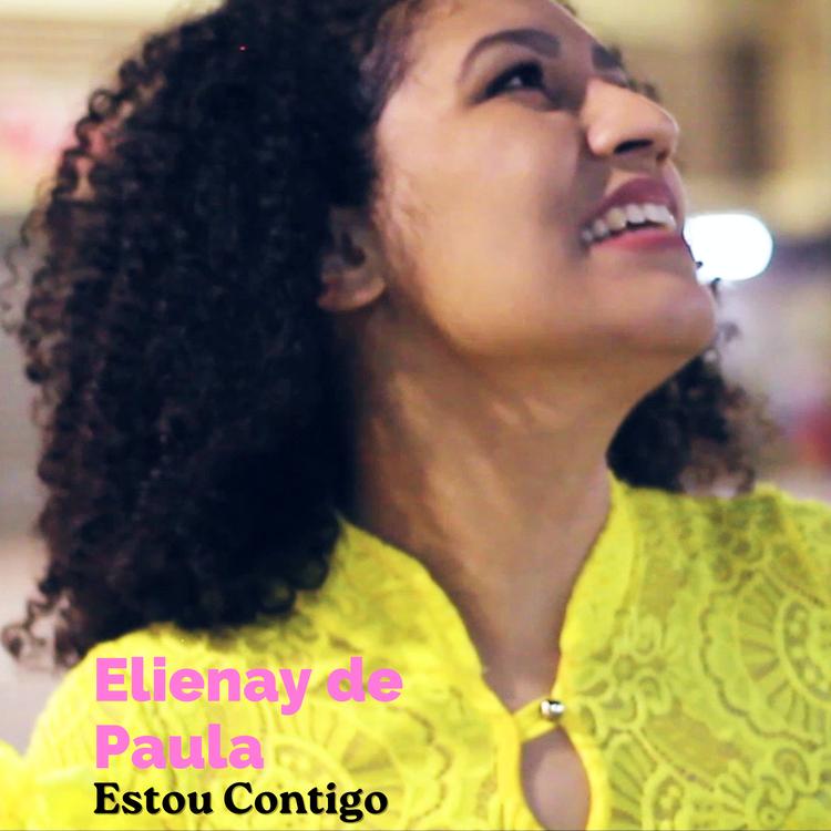 Elienay de Paula's avatar image