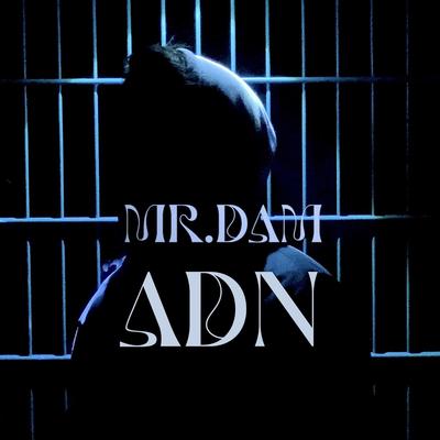 Mr.Dam's cover