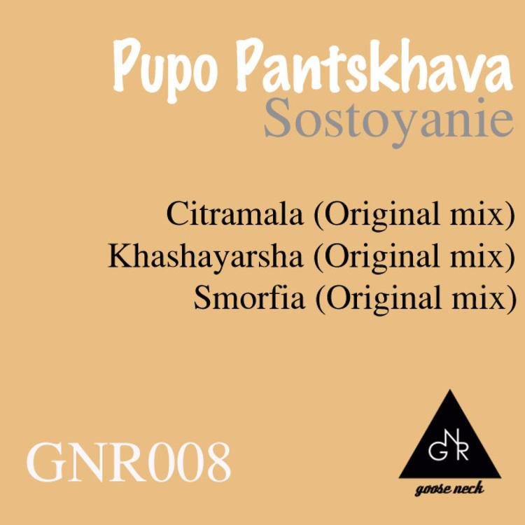 Pupo Pantskhava's avatar image