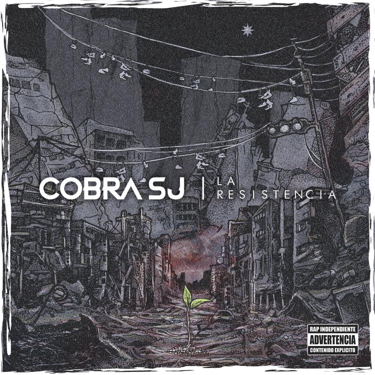 Cobra Sj's avatar image